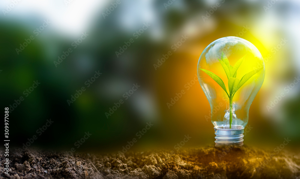 AdobeStock_309977088_Preview